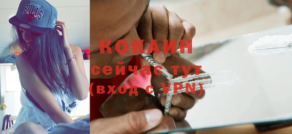 кокс Алексин