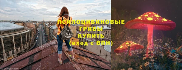 кокс Алексин