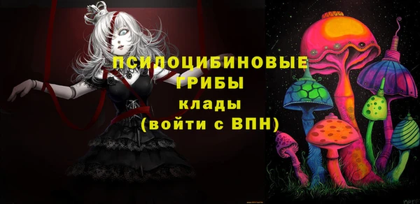 кокс Алексин