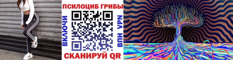 Псилоцибиновые грибы Psilocybine cubensis  Арамиль 