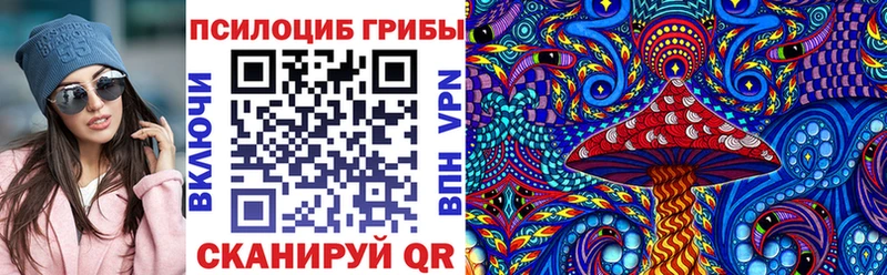 Галлюциногенные грибы Psilocybe Арамиль